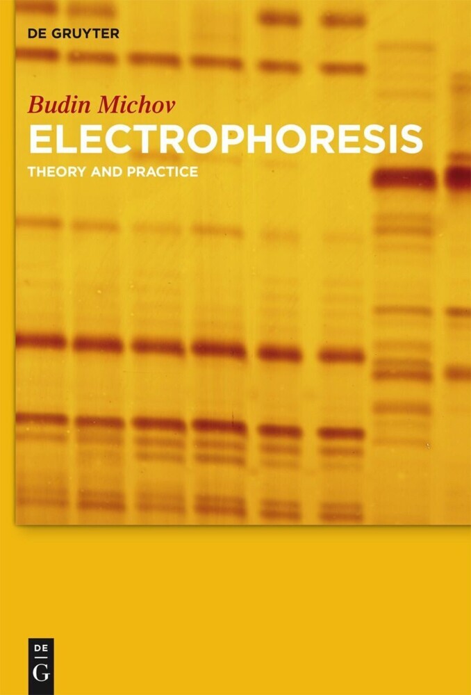 Electrophoresis main product photo