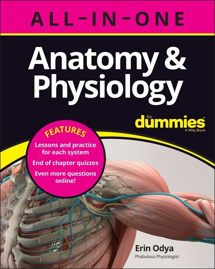 Anatomy & Physiology All-in-One For Dummies (+ Chapter Quizzes Online) main product photo