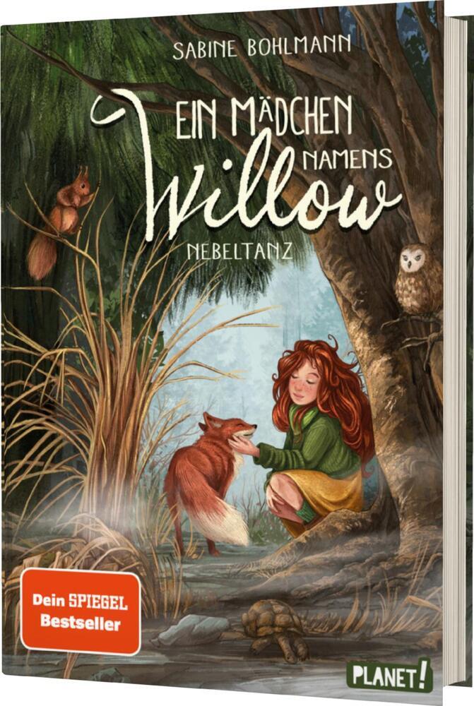 Ein Mädchen namens Willow 4: Nebeltanz main product photo