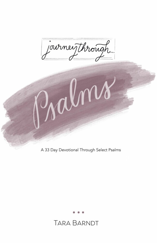 Journey through Psalms main product photo