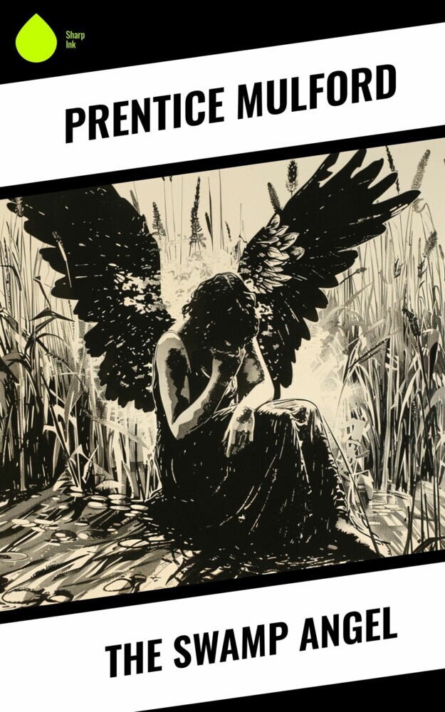 The Swamp Angel main product photo