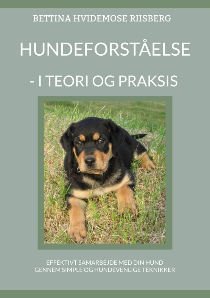 Hundeforståelse main product photo