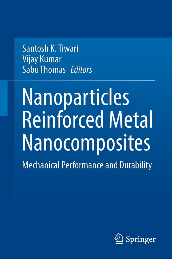 Nanoparticles Reinforced Metal Nanocomposites main product photo