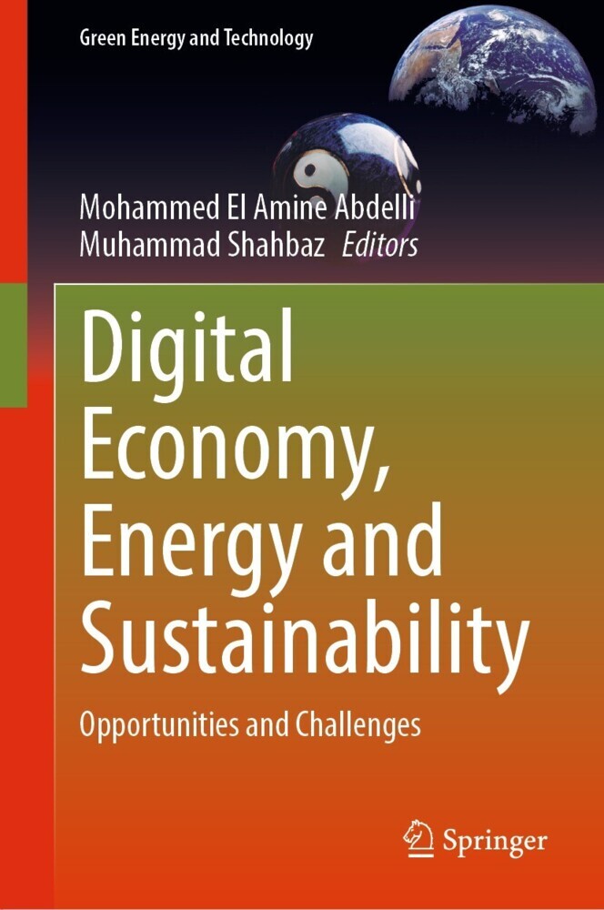 Digital Economy, Energy and Sustainability main product photo