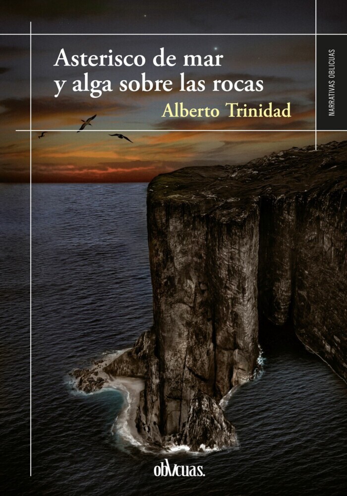 Asterisco de mar y alga sobre las rocas main product photo