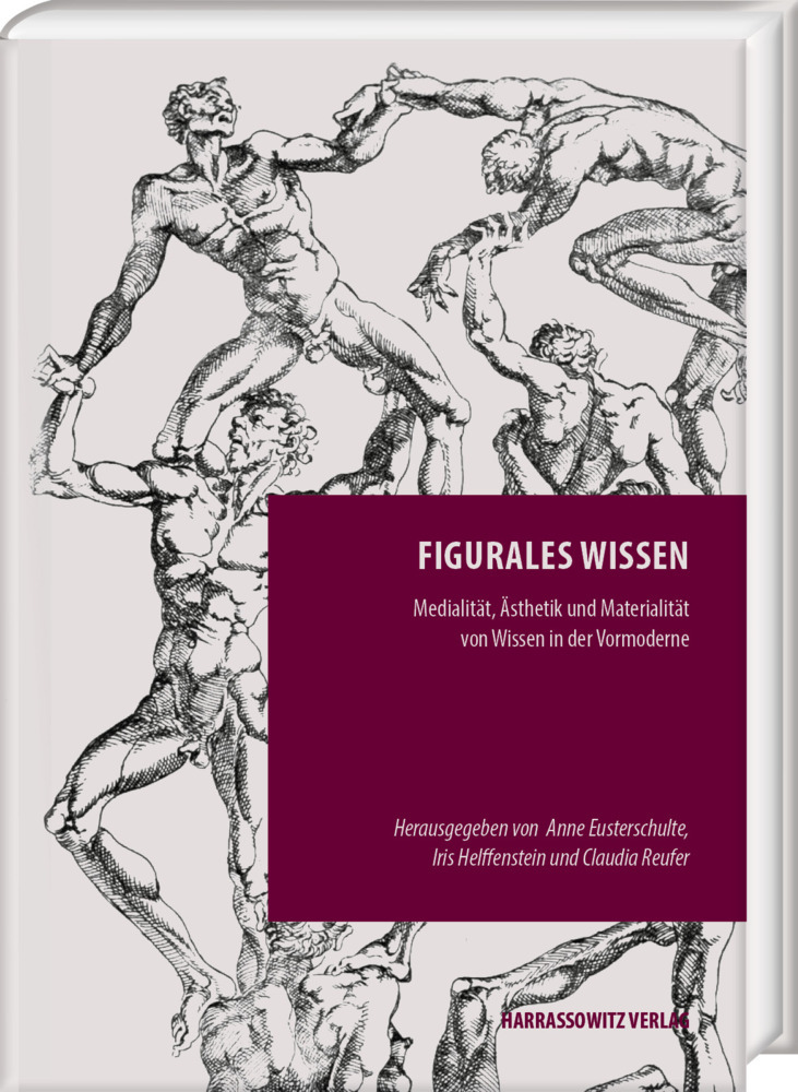 Figurales Wissen main product photo