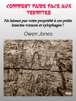 Comment Faire Face Aux Termites