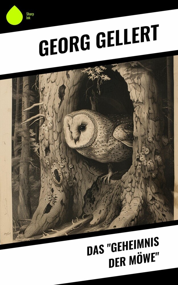 Das 'Geheimnis der Möwe' main product photo