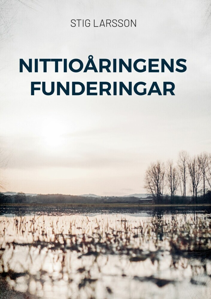 Nittioåringens funderingar main product photo