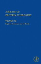 Peptide Solvation and H-bonds