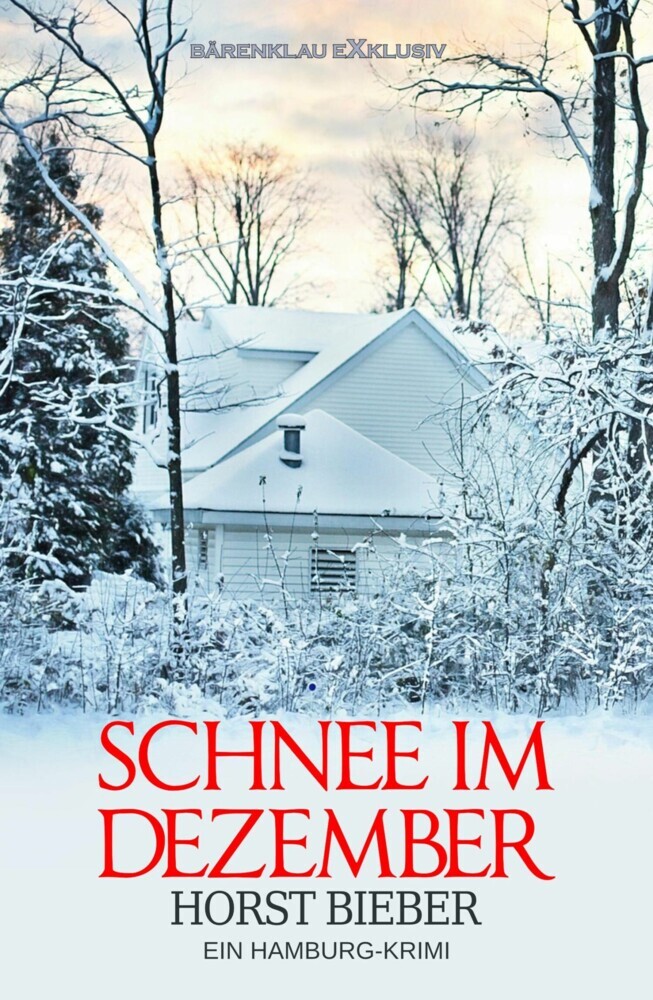 Schnee im Dezember - Ein Hamburg-Krimi main product photo