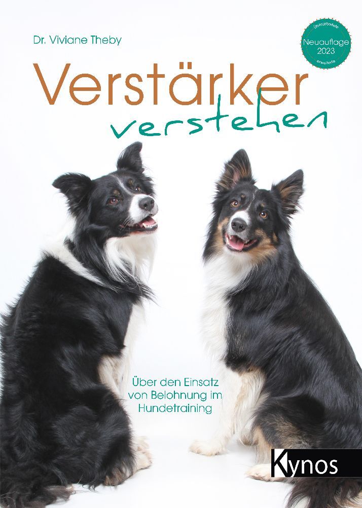 Verstärker verstehen main product photo