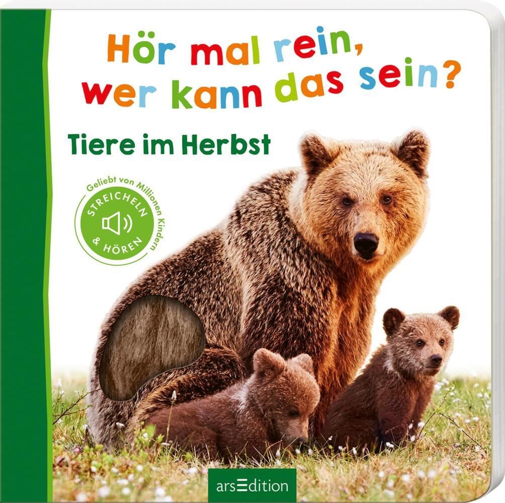 Hör mal rein, wer kann das sein? - Tiere im Herbst main product photo
