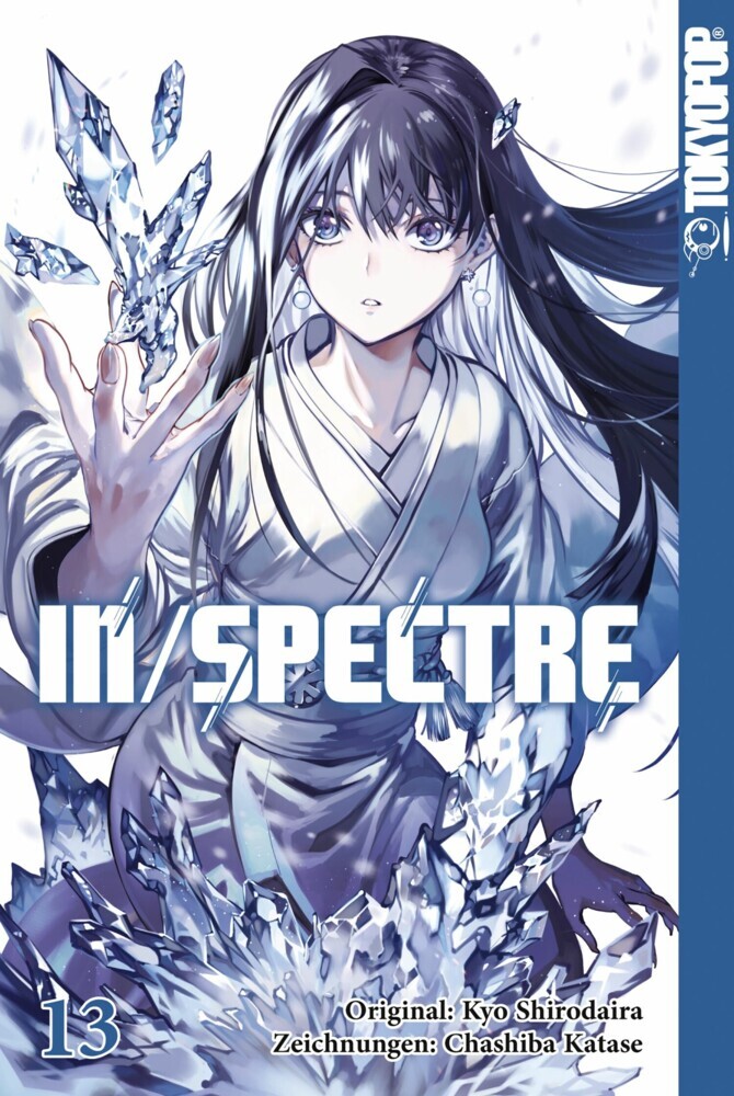 In/Spectre 13 main product photo