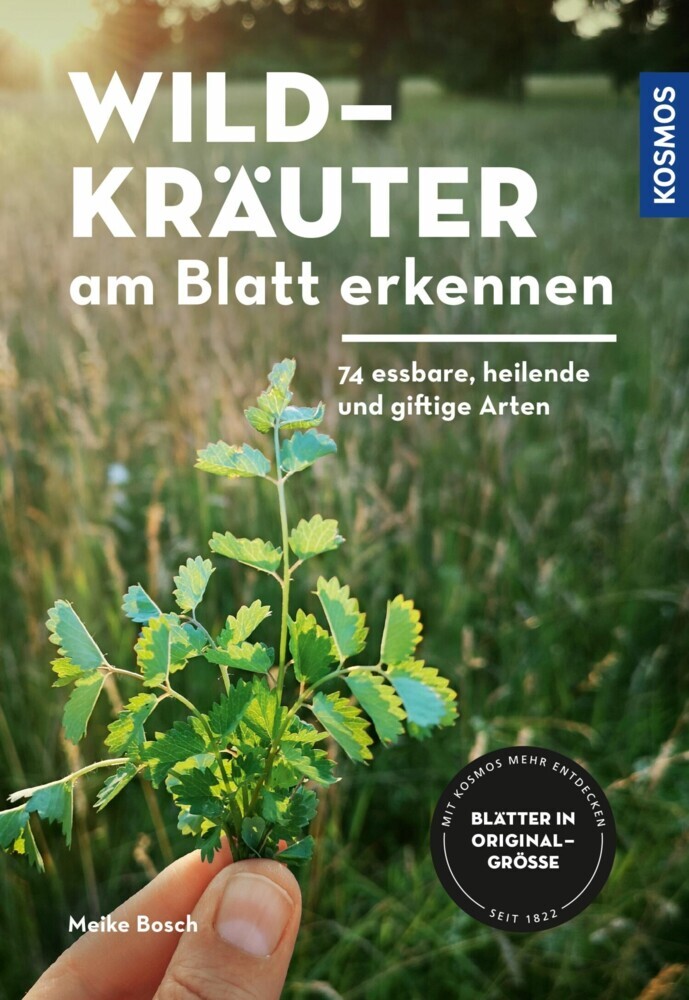 Wildkräuter am Blatt erkennen main product photo