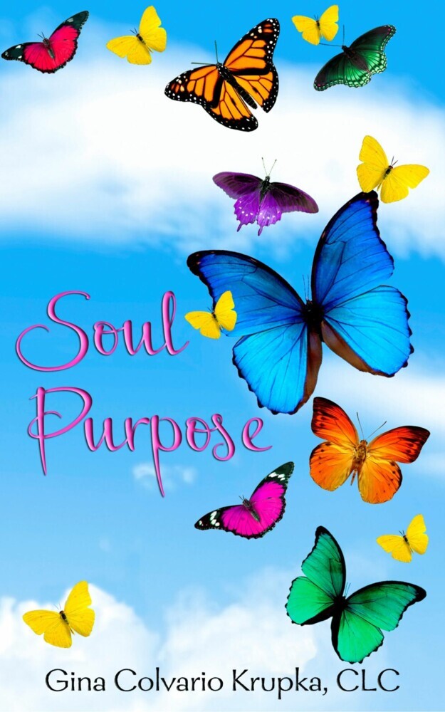 Soul Purpose main product photo