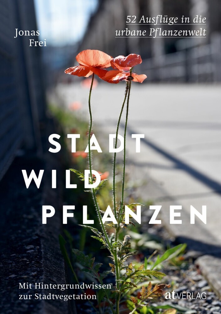 Stadtwildpflanzen main product photo