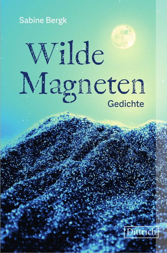 Wilde Magneten main product photo