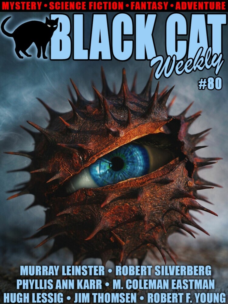 Black Cat Weekly #80 main product photo