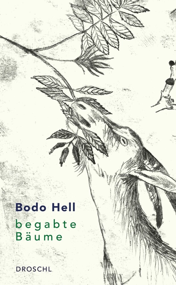 Begabte Bäume main product photo