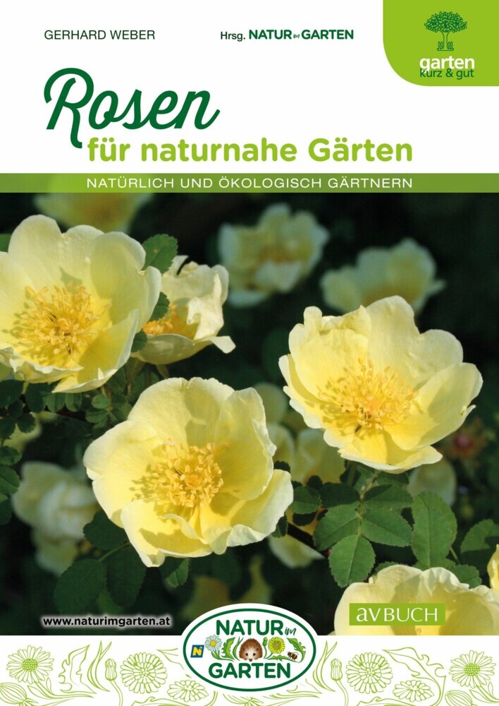 Rosen main product photo