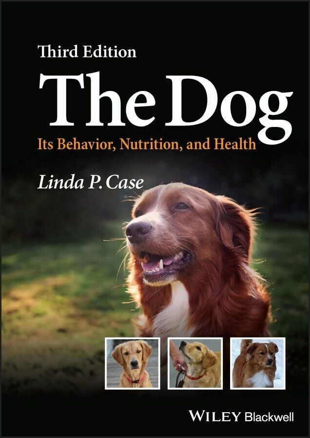 The Dog main product photo