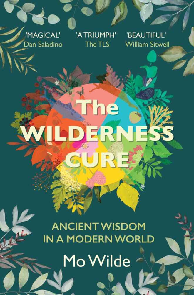 The Wilderness Cure main product photo