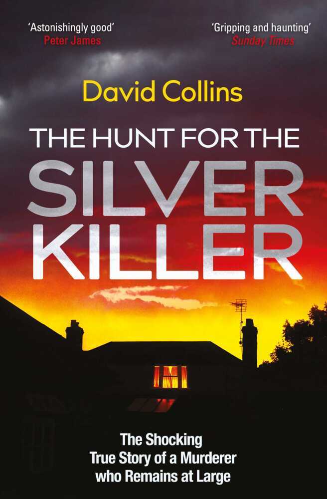 The Hunt for the Silver Killer main product photo