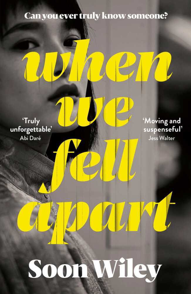When We Fell Apart main product photo