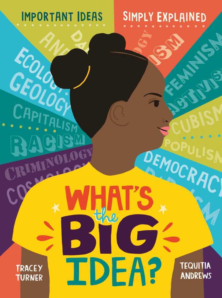 What's the Big Idea? main product photo