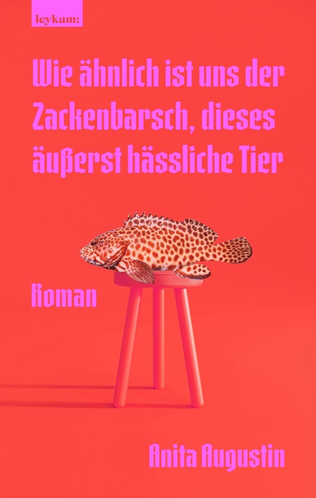 Wie ähnlich ist uns der Zackenbarsch, dieses äußerst hässliche Tier main product photo