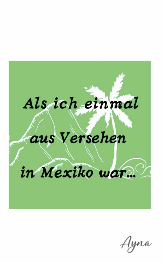 Als ich einmal aus versehen in Mexiko war main product photo