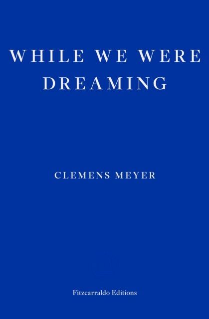 While We Were Dreaming main product photo