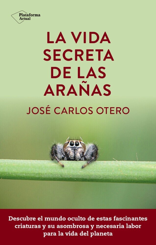 La vida secreta de las arañas main product photo