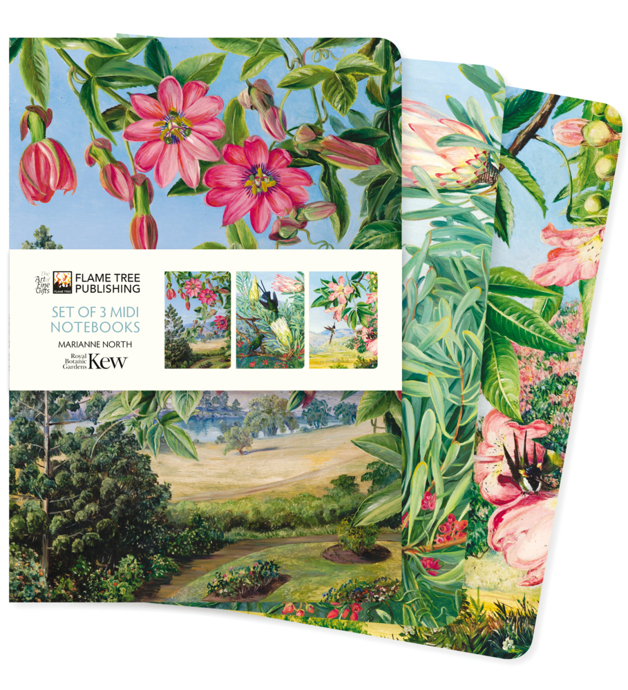 Dreier Set Mittelformat-Notizbücher: Kew Gardens, Marianne North main product photo
