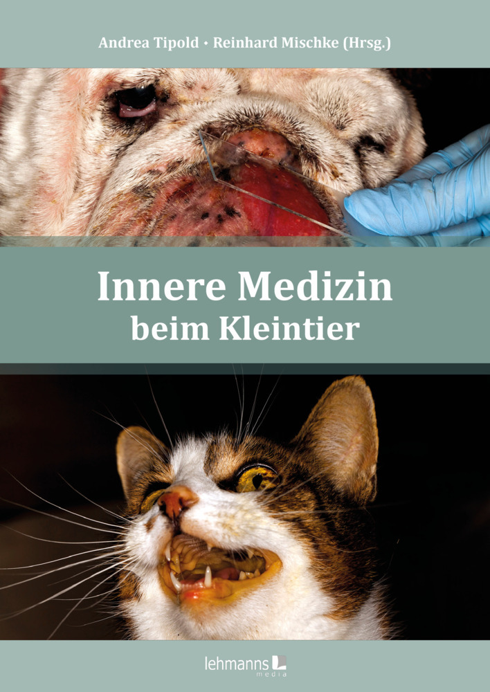 Innere Medizin beim Kleintier main product photo