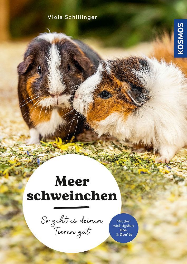 Meerschweinchen main product photo