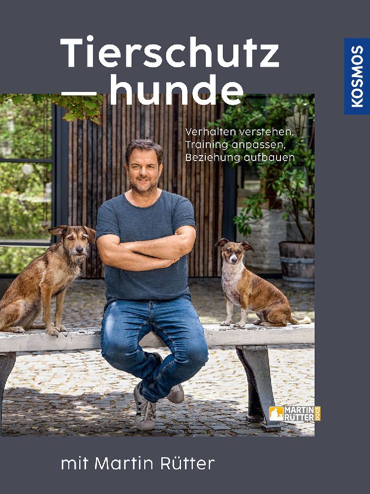 Tierschutzhunde main product photo