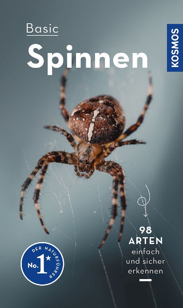 Basic Spinnen main product photo