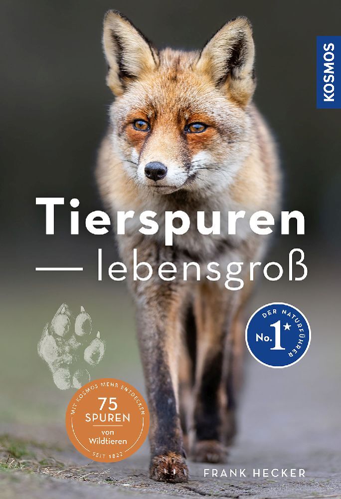 Tierspuren lebensgroß main product photo