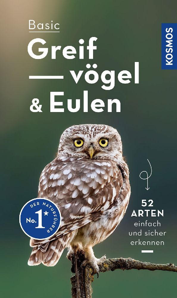 Basic Greifvögel und Eulen main product photo