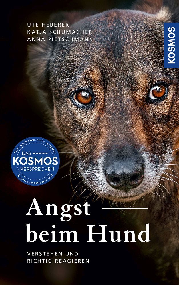 Angst beim Hund main product photo
