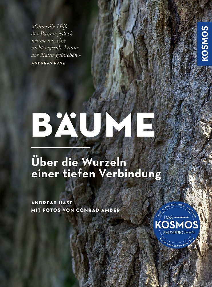 Bäume main product photo