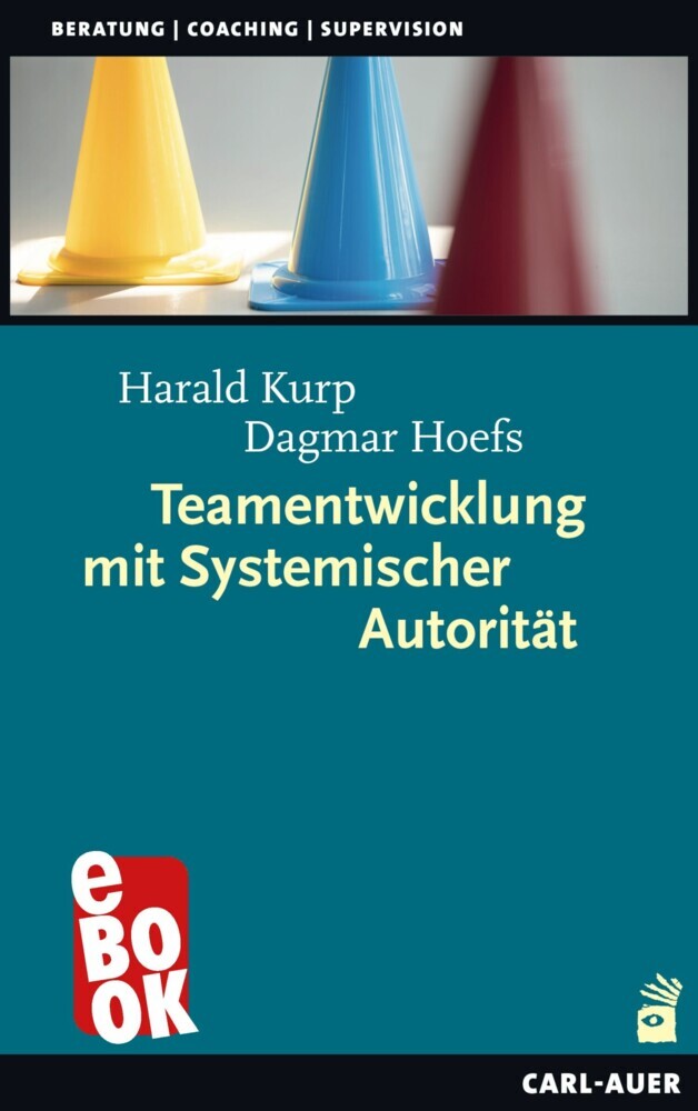Teamentwicklung mit Systemischer Autorität main product photo