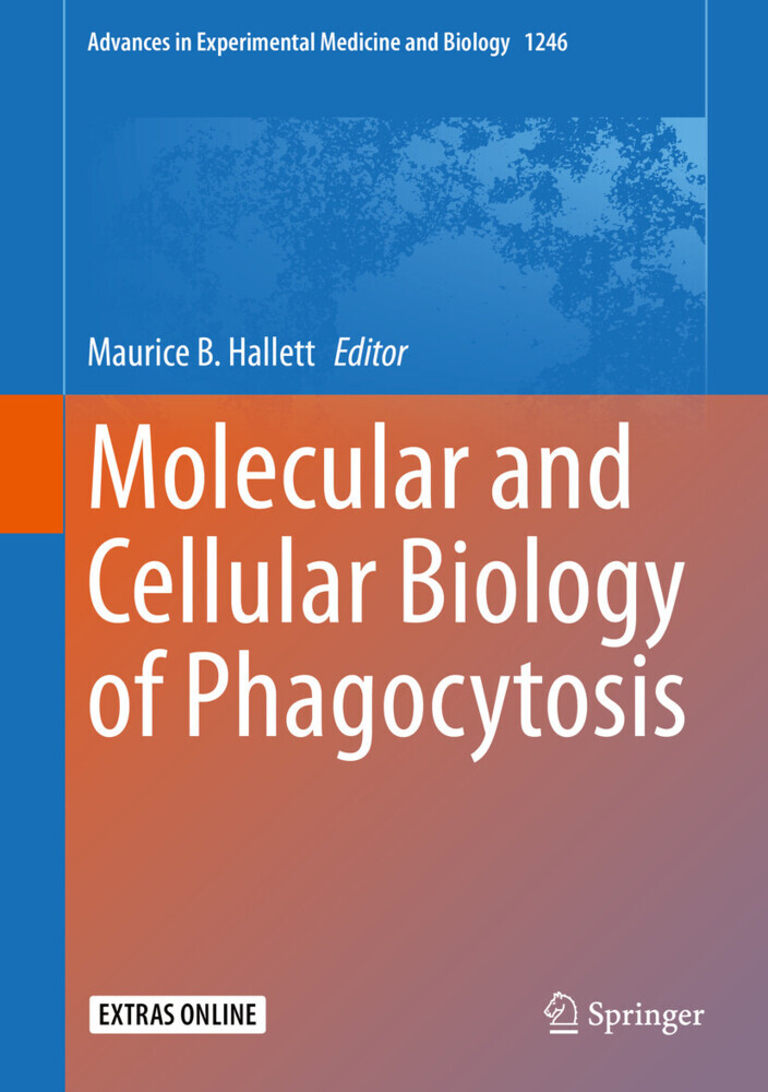 Molecular and Cellular Biology of Phagocytosis main product photo
