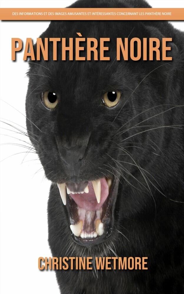 Panthère Noire - Des Informations et des Images Amusantes et Intéressantes concernant les Panthère Noire main product photo