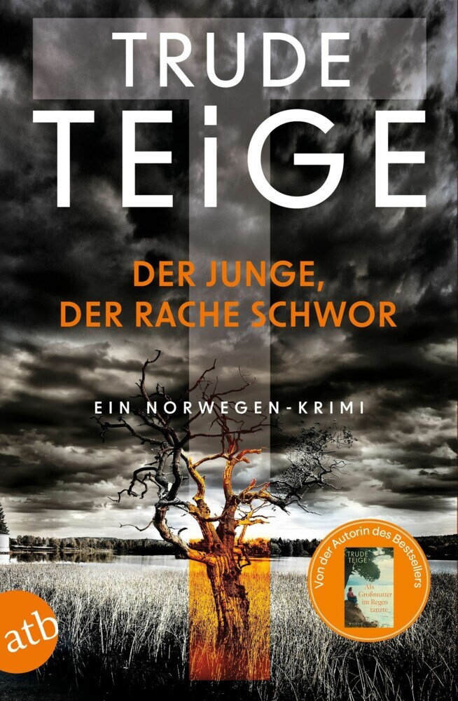 Der Junge, der Rache schwor main product photo