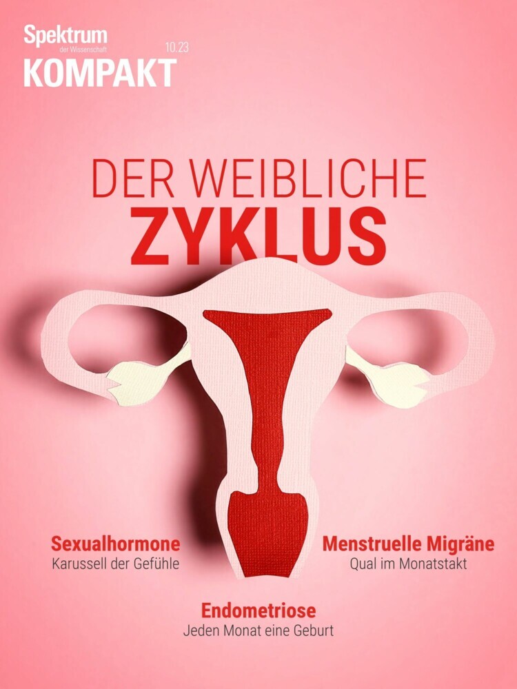 Spektrum Kompakt - Der weibliche Zyklus main product photo