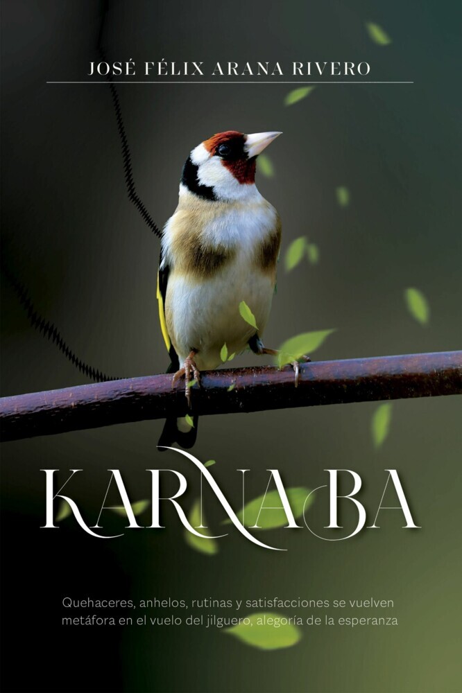 Karnaba main product photo