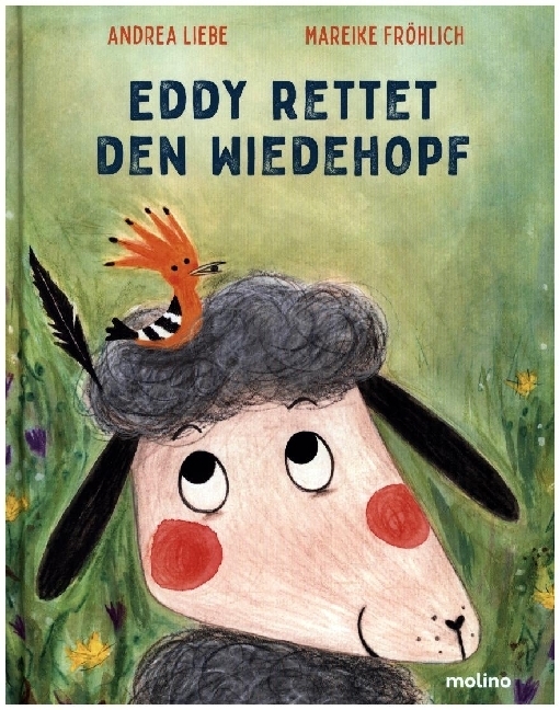 Eddy rettet den Wiedehopf main product photo